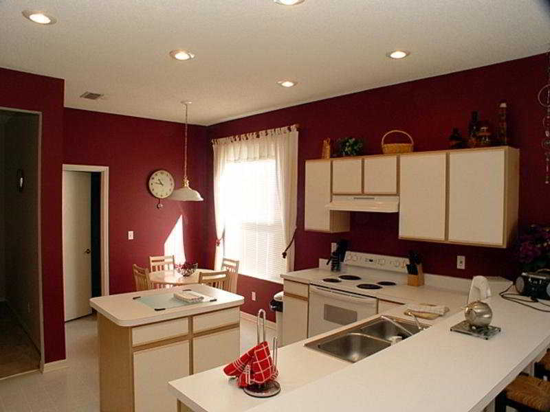 New Port Richey & Hudson Area Vacation Homes Extérieur photo